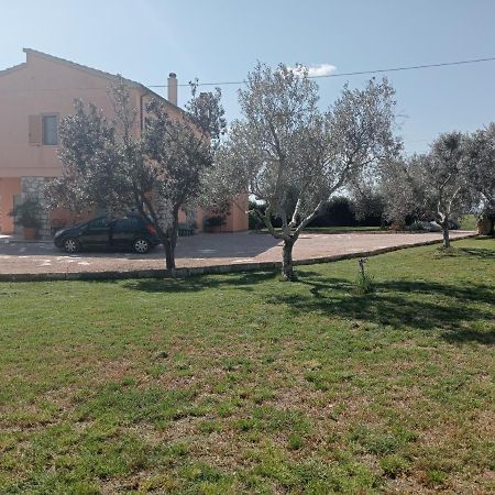 Villa In Campagna Tra Natura E Verde Montalto di Castro Exteriér fotografie
