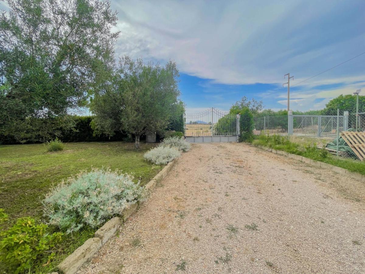 Villa In Campagna Tra Natura E Verde Montalto di Castro Exteriér fotografie