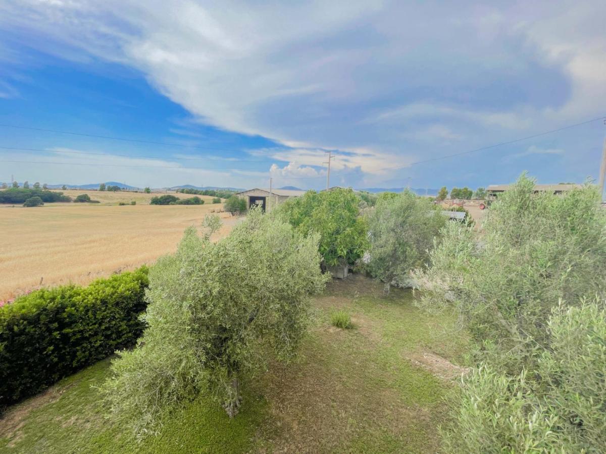 Villa In Campagna Tra Natura E Verde Montalto di Castro Exteriér fotografie