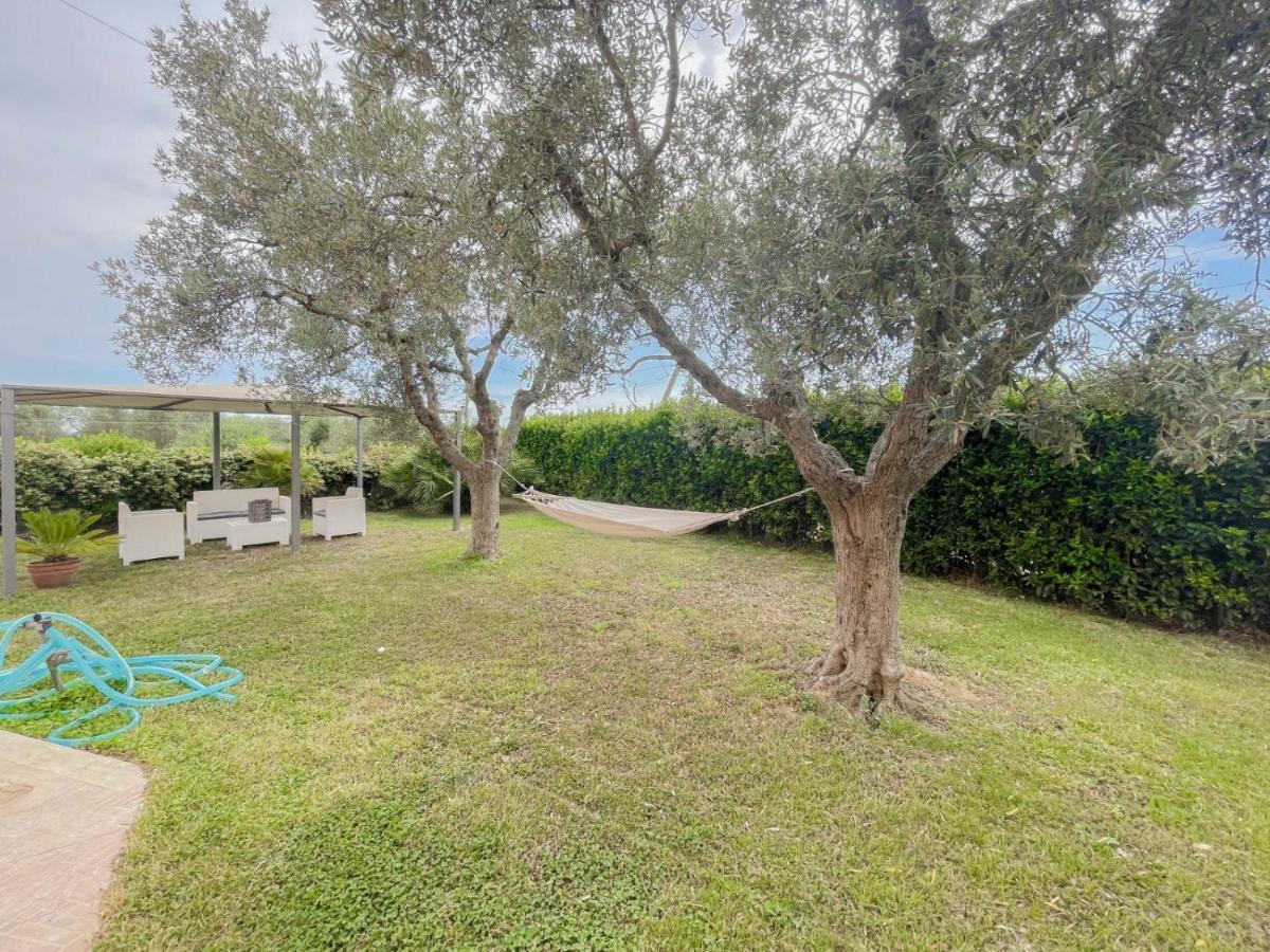 Villa In Campagna Tra Natura E Verde Montalto di Castro Exteriér fotografie