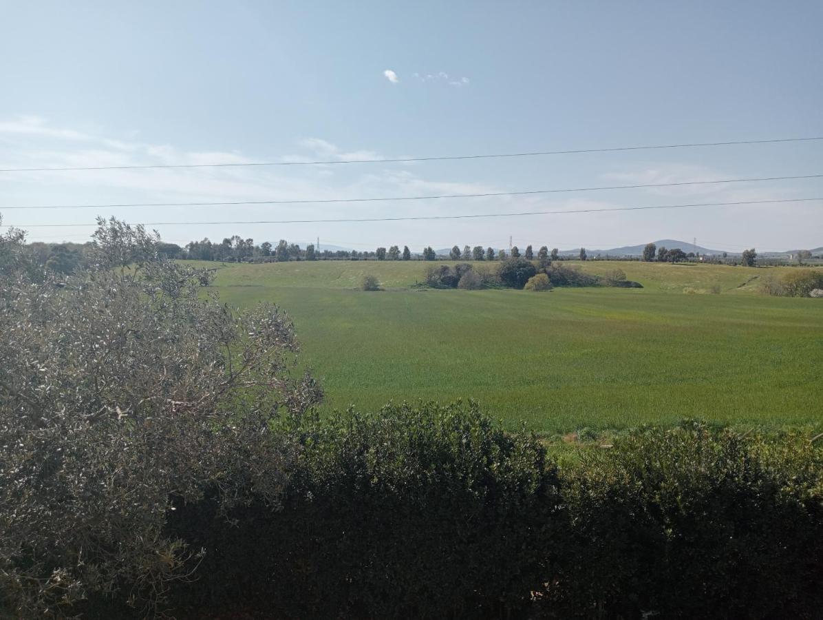 Villa In Campagna Tra Natura E Verde Montalto di Castro Exteriér fotografie