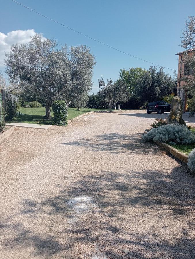 Villa In Campagna Tra Natura E Verde Montalto di Castro Exteriér fotografie